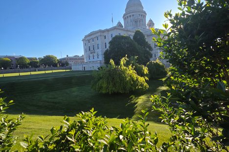 The hedge on the SW side of the RI State Capitol