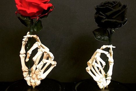 Memento Mori Oddities Shop