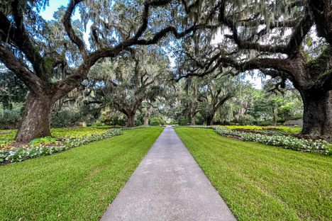 The majestic, moss-hung oasis of Brookgreen Gardens’ Live Oak Allée. 