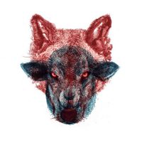 Profile image for FilipB