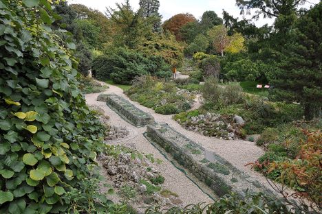 Jardin Alpin.