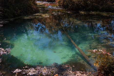 Montauk Springs