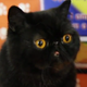 kaemaki profile photo