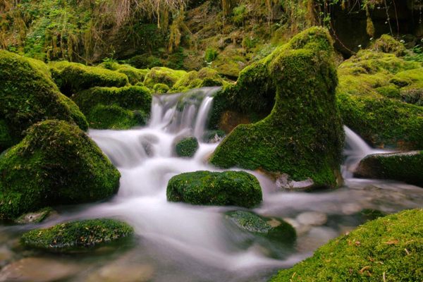 A small waterfall in the Gourgue d’Asque