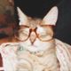 unicornandacat profile photo