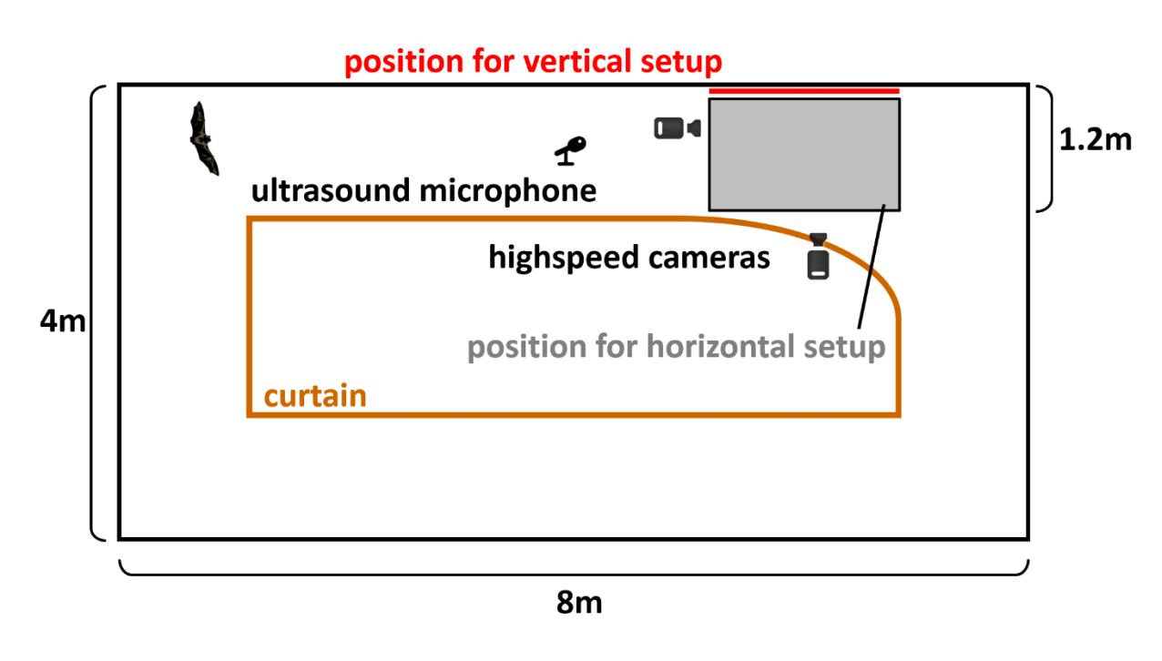 The experimental setup for the vertical plate study.