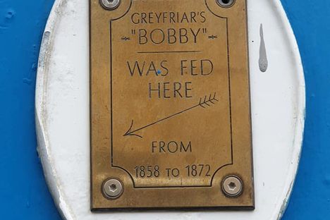 No. 6 Forrest Road