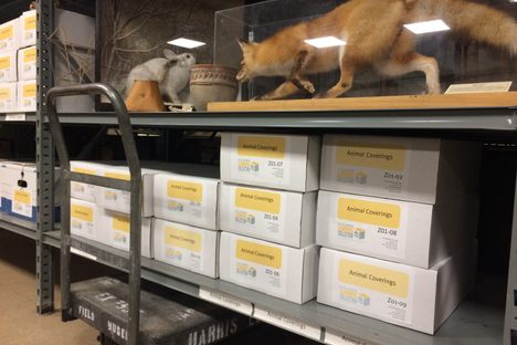 N. W. Harris Learning Collection