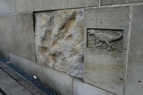 A few allosaur facts alongside the footprint