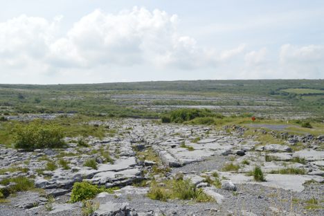 The Burren