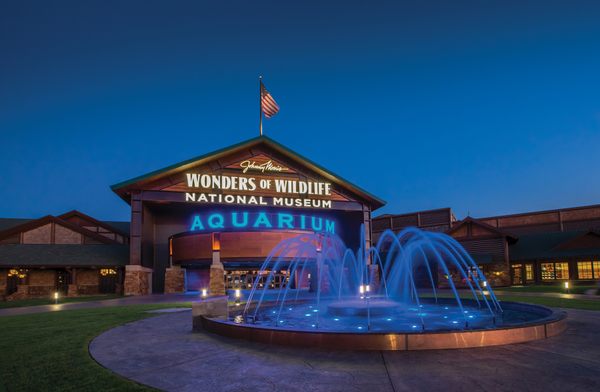 Wonders of Wildlife Museum – Springfield, Missouri - Atlas Obscura