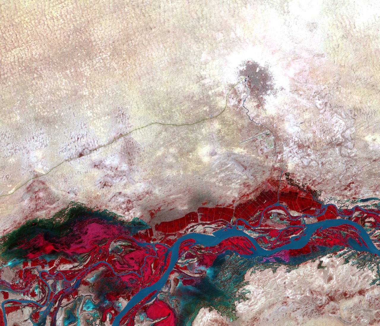 The riparian buffers flanking the Niger River in Timbuktu, Mali, appear in red. 