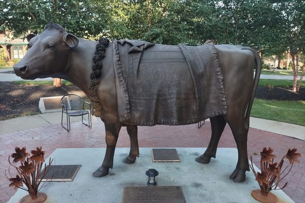 A bronze statue of a cow with blanket and flower garland around her neck