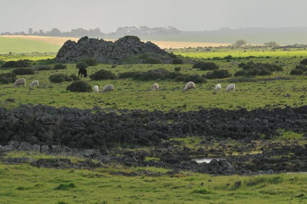 Tumuli near Byaduk