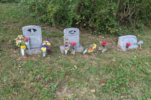 Family plot