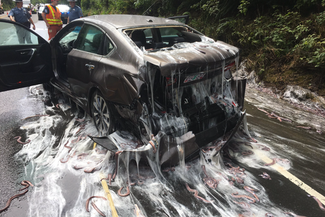 This car's owner did not have a great day.