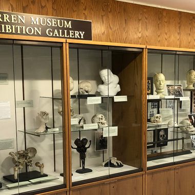 Warren Anatomical Museum