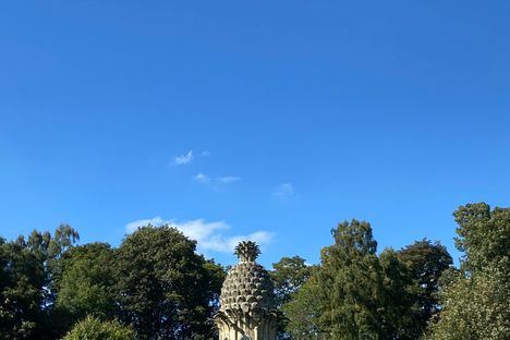 The Dunmore Pineapple House