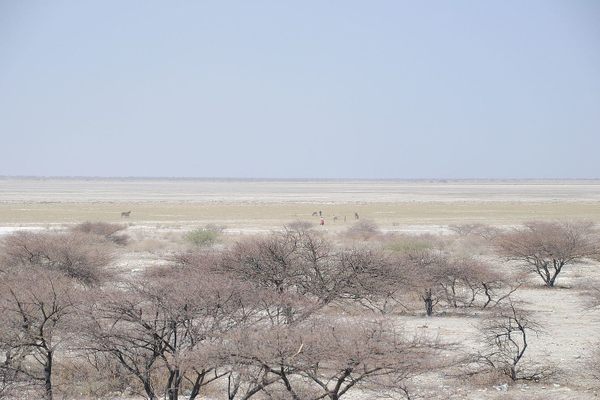 The Makgadikgadi Pan stretches off as far as the eye can see.