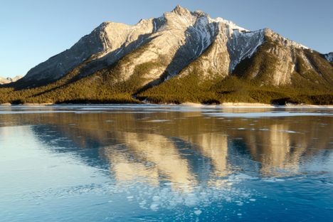 Frozen bubbles in the ice of Lake Abraham.