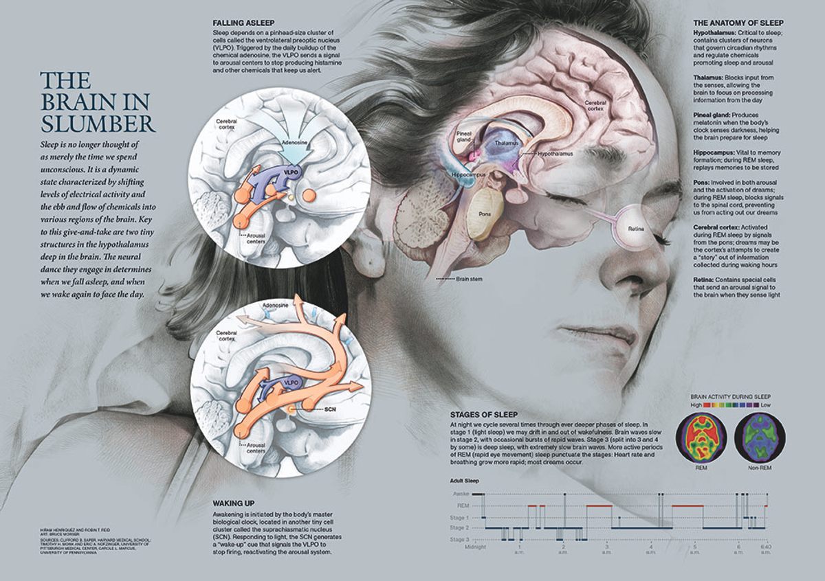 The Secret of Sleep, May 2010.