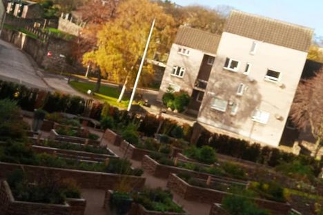 Physic Garden