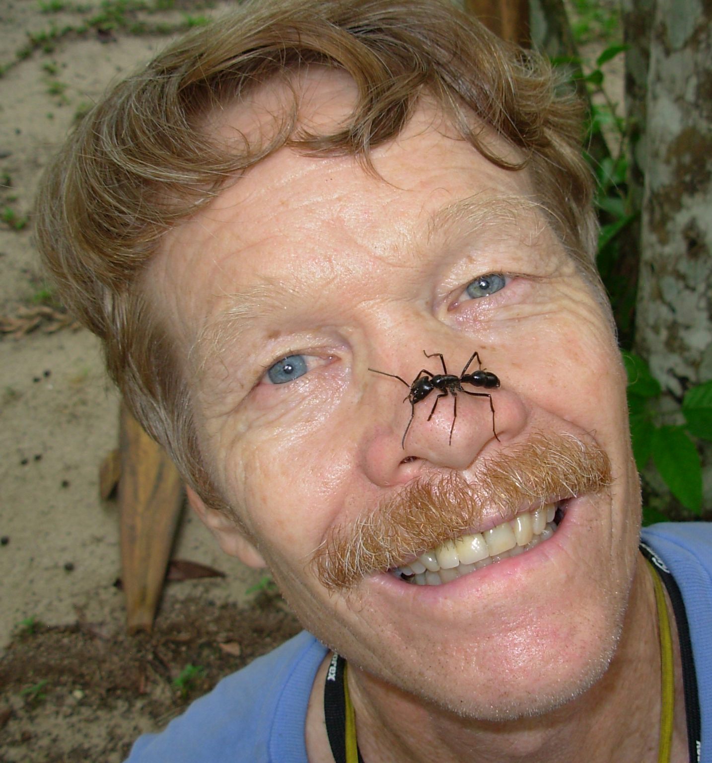 Schmidt had little fear for menacing stinging insects.