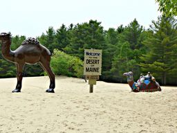 Desert of Maine
