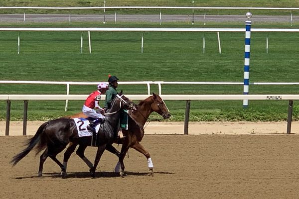 Secretariat Pole