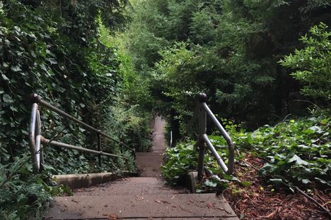 The view from the top of a staircase that helps make up Berkeley's Covert Path.
