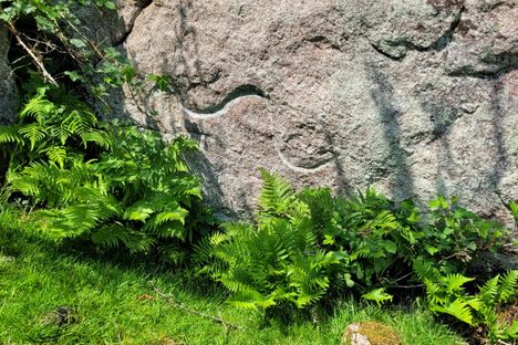 The Dragon Mark