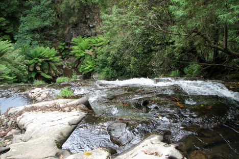 Tarra Falls