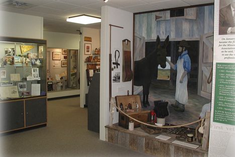 Veterinary Museum of Missouri.