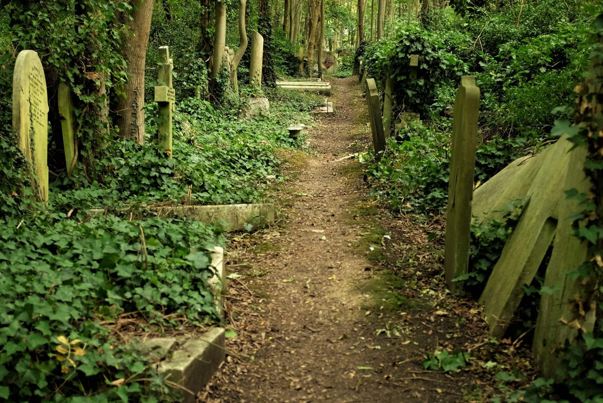 Highgate Cemetery was established as a private cemetery, but parts have become overgrown.