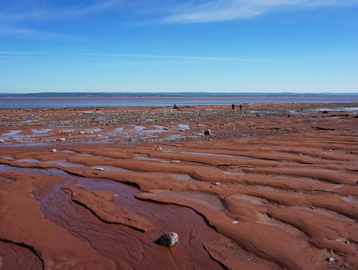 Bay of Fundy at low tide