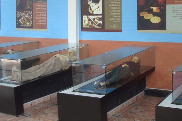 Mummies on glass display within the mausoleum.