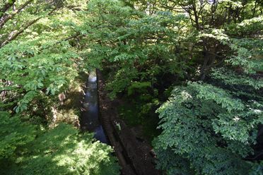 The ravine seen from above.