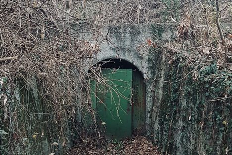 The tunnel entrance.