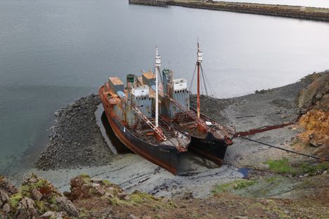 Beached Whalers