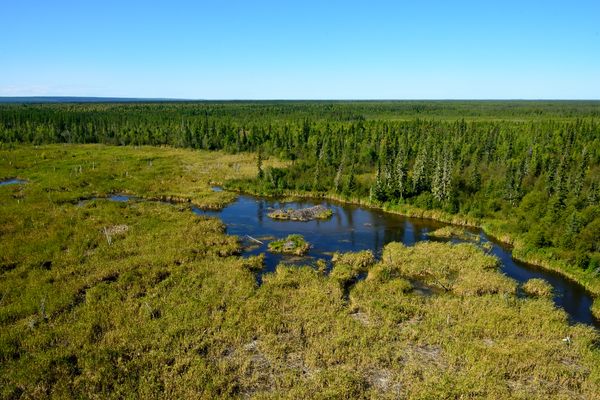 The beaver dam as viewed from a helicopter.