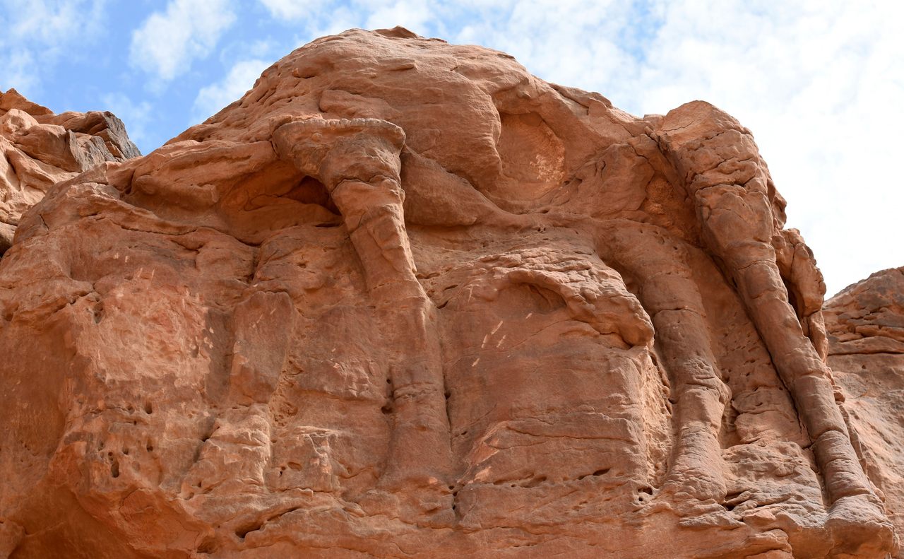 Archaeologists believe the life-sized camel and equid reliefs were likely carved and recarved throughout the Neolithic. 