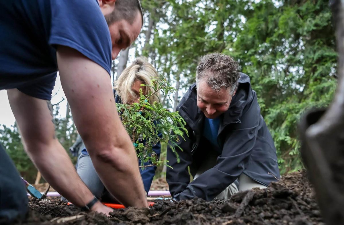 Crew member Steve Duffy and CEO Jean Fraser of the Presidio Trust plant a redwood in the Presidio in 2018 with Archangel Ancient Tree Archive Board Member Joe Sandri.