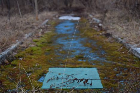 Miniature Golf Course
