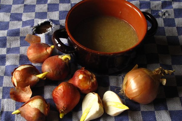 Muusers adapted a WWII-era recipe to make this tulip bulb soup.