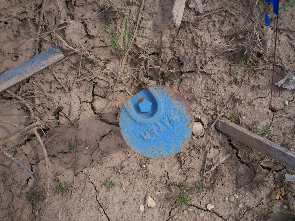 A buffalo box cap.