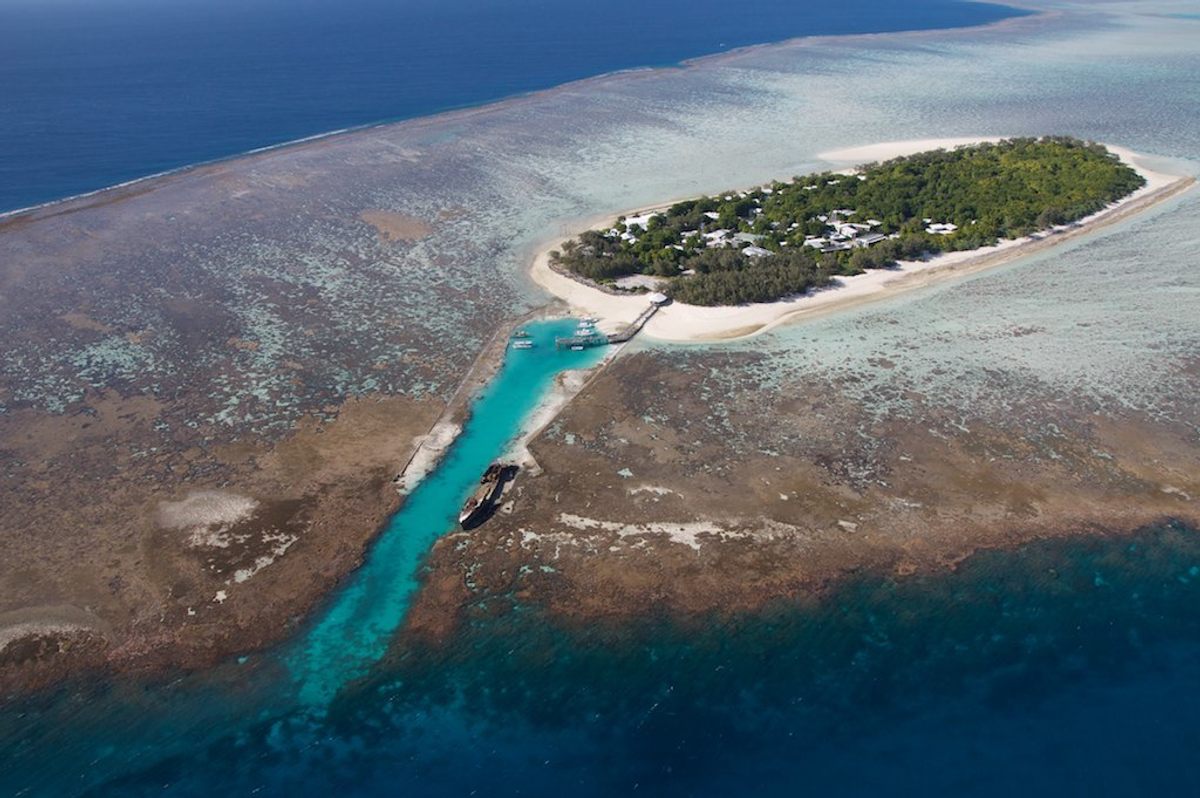 Reefs typically have grown well in the turquoise waters around Heron Island.