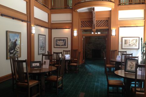 Roger Tory Peterson Institute of Natural History