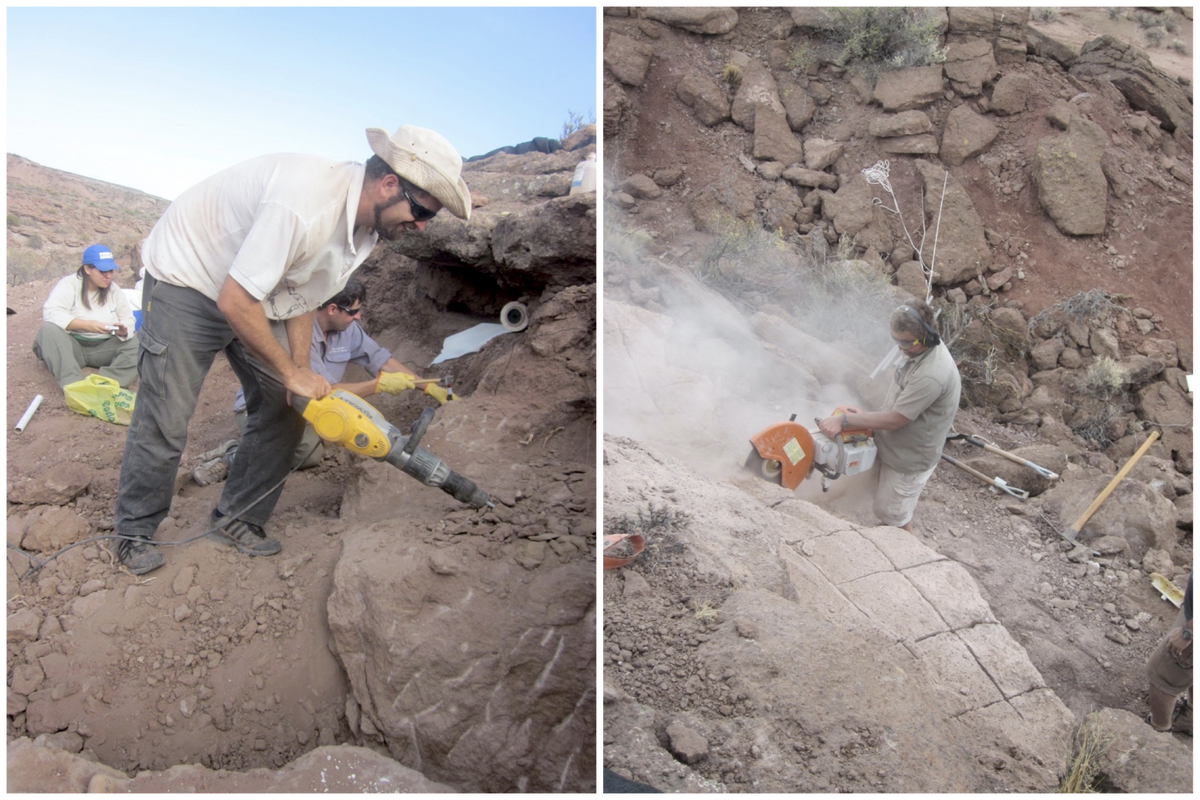 After a partial vertebra provided the first clue to <em>Meraxes</em>, the hard work of excavation began. Juan Canale uses a jackhammer to break up sandstone (left); Peter Makovicky takes a rock saw to another area of the site.