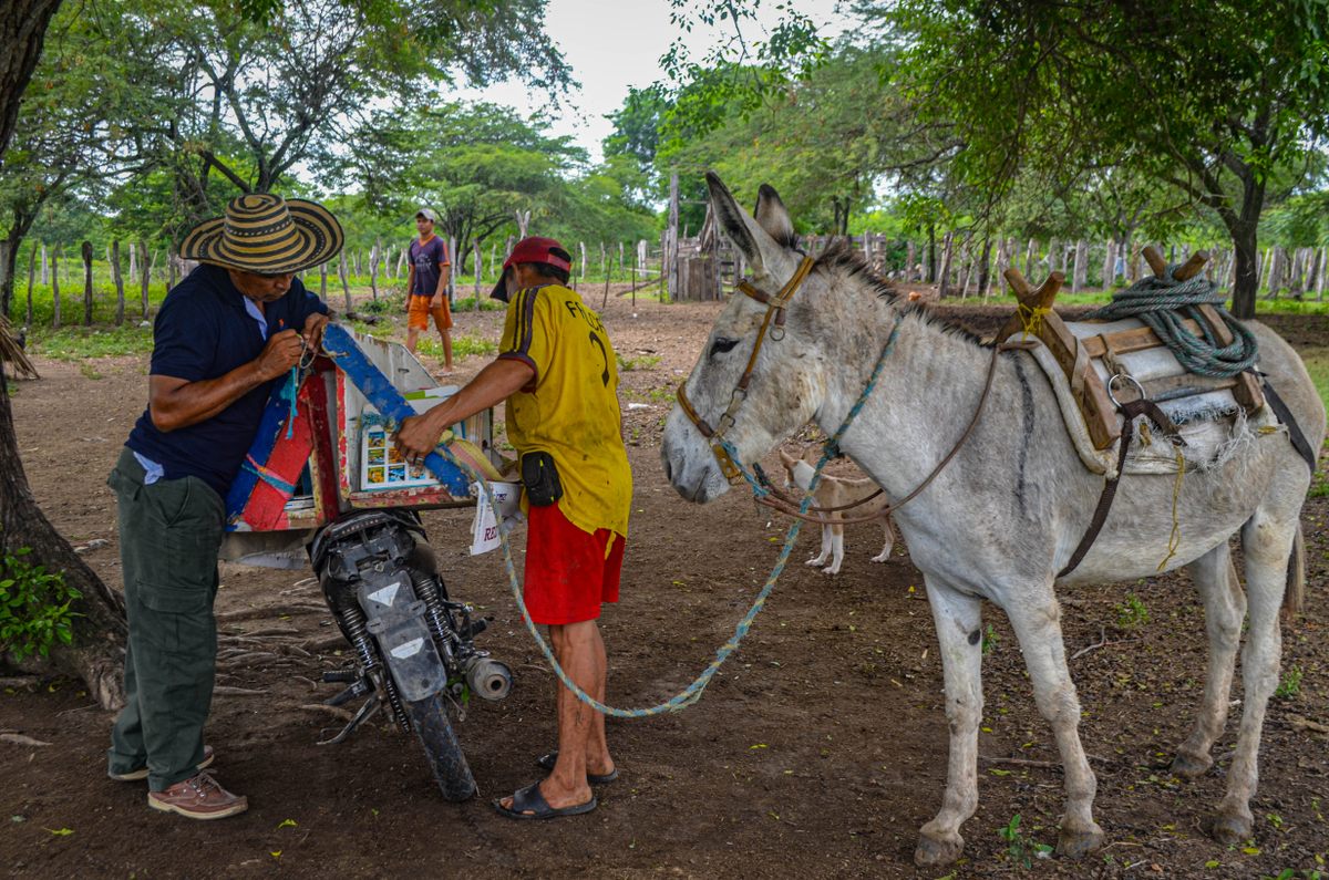 A farmhand helps transfer books from Soriano's motorcycle to sure-footed Beto.