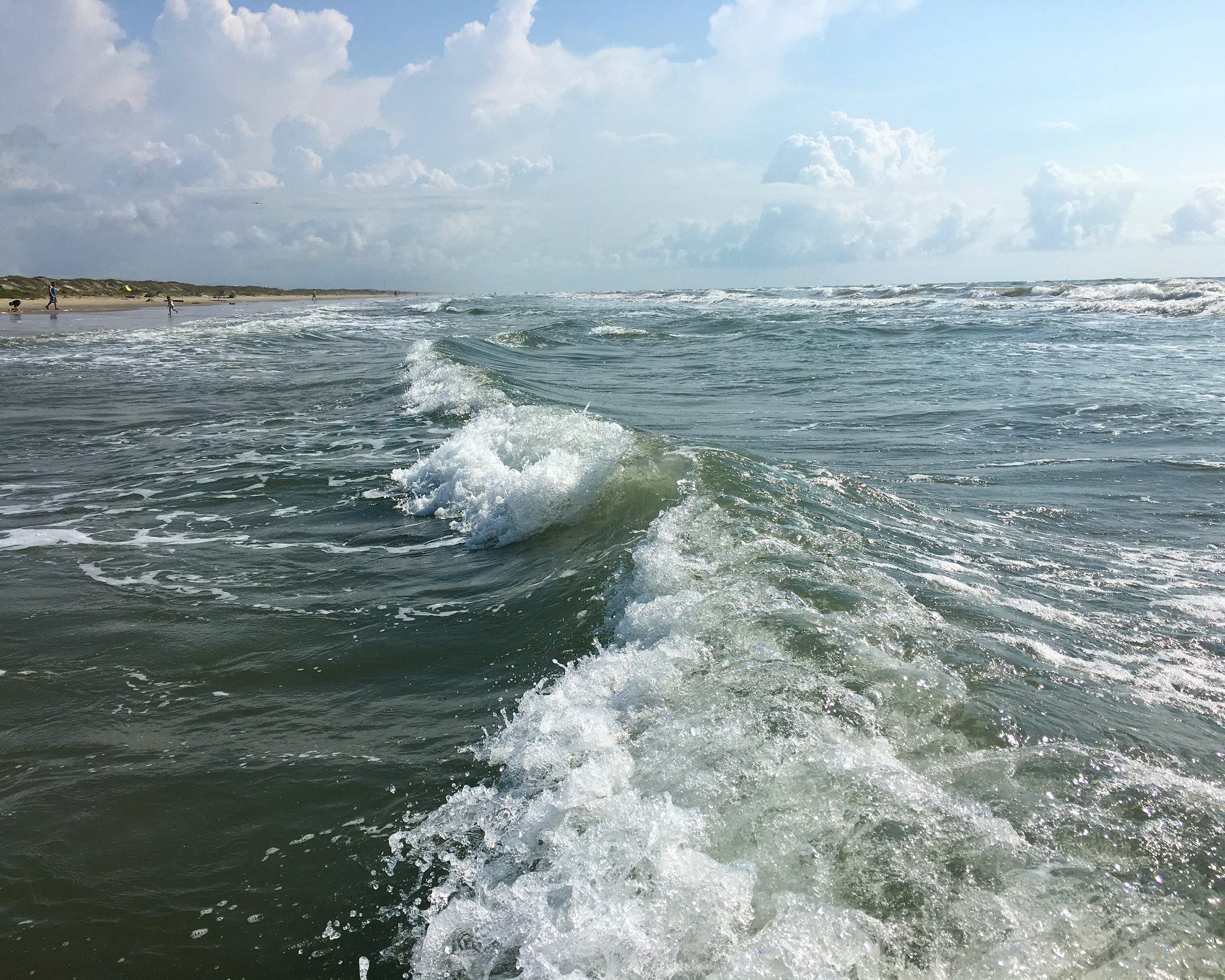 What else is hiding in the waves near Padre Island?